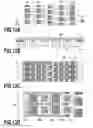 Fig. 14 - Liquid ejection head and ink jet printing apparatus