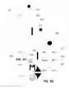 Fig. 03 - Virtual presence via mobile
