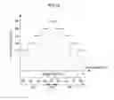 Fig. 13 - LIGHTING DEVICE, DISPLAY DEVICE AND TELEVISION RECEIVER