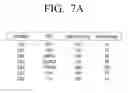 Fig. 08 - PLASMA DISPLAY DEVICE AND METHOD OF MANUFACTURING THE SAME
