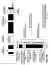 Fig. 18 - Resource sharing between secondary networks