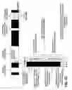 Fig. 19 - Resource sharing between secondary networks