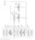 Fig. 10 - Anonymization using anonymizing device and packet server in which anonymous address is generated based on prefix acquired from server