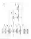 Fig. 25 - Anonymization using anonymizing device and packet server in which anonymous address is generated based on prefix acquired from server