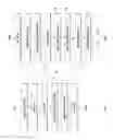 Fig. 02 - TRANSMITTING METHOD AND A RECEIVING METHOD OF A MODULATED DATA STREAM