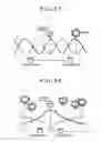 Fig. 32 - Noise removing apparatus and noise removing method