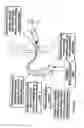 Fig. 03 - Hearing Device System and Method