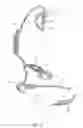 Fig. 05 - Ergonomic earpiece and attachments