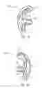 Fig. 31 - Ergonomic earpiece and attachments