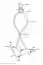 Fig. 01 - Security and protection device for an ear-mounted audio amplifier or telecommunication instrument