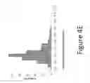 Fig. 10 - System and method for fluorescence guided ingredient specific particle sizing