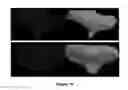 Fig. 20 - Method and apparatus for efficient three-dimensional contouring of medical images