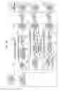 Fig. 35 - INFORMATION PROCESSING DEVICE, INFORMATION PROCESSING METHOD, AND PROGRAM