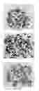 Fig. 10 - Copper Corrosion Resistant, Machinable Brass Alloy
