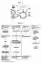 Fig. 02 - ANALYZER