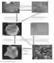 Fig. 01 - High performance cathode material LiFePO4, its precursors and methods of making thereof