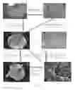 Fig. 02 - High performance cathode material LiFePO4, its precursors and methods of making thereof