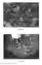 Fig. 04 - High performance cathode material LiFePO4, its precursors and methods of making thereof