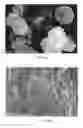 Fig. 05 - High performance cathode material LiFePO4, its precursors and methods of making thereof