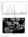 Fig. 07 - High performance cathode material LiFePO4, its precursors and methods of making thereof