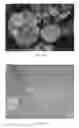 Fig. 08 - High performance cathode material LiFePO4, its precursors and methods of making thereof