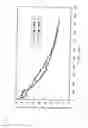 Fig. 11 - Packaged hydrogen-generating agent, manufacturing method therefor, and hydrogen generation method