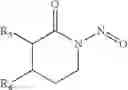 Fig. 19 - Method of controlling the growth of microorganisms by a composition containing isolated or in vitro synthesized nitrosoamides