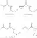 Fig. 42 - Method of controlling the growth of microorganisms by a composition containing isolated or in vitro synthesized nitrosoamides