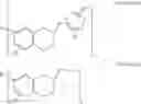 Fig. 04 - Cationic benzoxazine (co)polymers