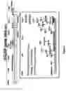 Fig. 03 - ASSAY FOR THE DETECTION OF FACTORS THAT MODULATE THE EXPRESSION OF INGAP