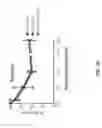 Fig. 08 - METHODS AND COMPOSITIONS FOR TREATMENT