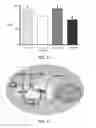 Fig. 03 - Resveratrol-Containing Compositions And Methods Of Use