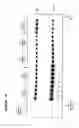 Fig. 14 - PROCESS FOR THE PREPARATION OF A COMPOSITION OF GENETICALLY MODIFIED HEMATOPOIETIC PROGENITOR CELLS