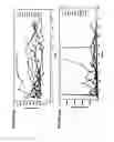 Fig. 19 - PROCESS FOR THE PREPARATION OF A COMPOSITION OF GENETICALLY MODIFIED HEMATOPOIETIC PROGENITOR CELLS