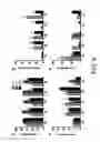 Fig. 12 - Compositions and methods for treating obesity and related disorders by characterizing and restoring mammalian bacterial microbiota