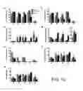 Fig. 13 - Compositions and methods for treating obesity and related disorders by characterizing and restoring mammalian bacterial microbiota