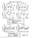Fig. 16 - Compositions and methods for treating obesity and related disorders by characterizing and restoring mammalian bacterial microbiota
