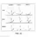 Fig. 23 - Compositions and methods for treating obesity and related disorders by characterizing and restoring mammalian bacterial microbiota
