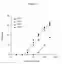 Fig. 27 - Non-cytotoxic protein conjugates