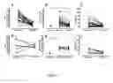 Fig. 02 -  Method for Predicting the Responsiveness to an Anti-TNF Alpha Antibody Treatment