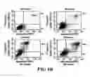 Fig. 06 - Compositions and methods for diagnosing, treating, and preventing prostate conditions