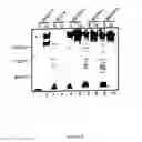 Fig. 08 - NON-SPLICING VARIANTS OF gp350/220