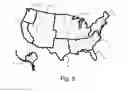 Fig. 07 - Geographically Region Specific Allergy Immunotherapy for Companion Animals