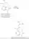 Fig. 09 - Process for making a crystalline zilpaterol salt