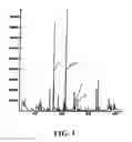 Fig. 02 - Method of producing processed tomato product having increased tomato aroma
