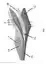Fig. 02 - Vapor permeable fabric constructs