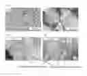 Fig. 07 - TRANSITION METAL SILICIDE-SI COMPOSITE POWDER AND METHOD OF MANUFACTURING THE SAME, AND CASIY-BASED POWDER FOR MANUFACTURING TRANSITION METAL SILICIDE-SI COMPOSITE POWDER AND METHOD OF MANUFACTURING THE SAME