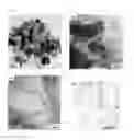 Fig. 09 - TRANSITION METAL SILICIDE-SI COMPOSITE POWDER AND METHOD OF MANUFACTURING THE SAME, AND CASIY-BASED POWDER FOR MANUFACTURING TRANSITION METAL SILICIDE-SI COMPOSITE POWDER AND METHOD OF MANUFACTURING THE SAME