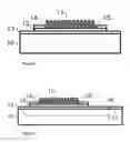 Fig. 02 - Electronic Devices with Protein Layers