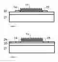 Fig. 03 - Electronic Devices with Protein Layers